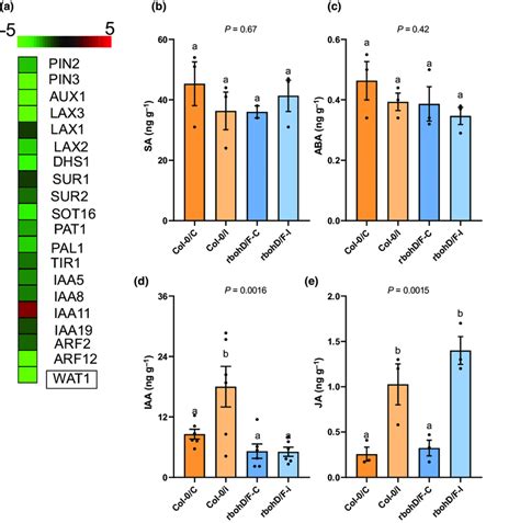 RbohD And RbohF Regulate Indole Metabolism In Response To Heterodera