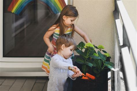 Erde F R Hortensien Im Topf Das Perfekte Substrat F R Ihre Pflanzen