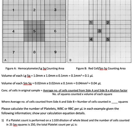 Neubauer Hemocytometer Formula Hot Sex Picture