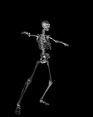 Skeleton GIF - Find & Share on GIPHY