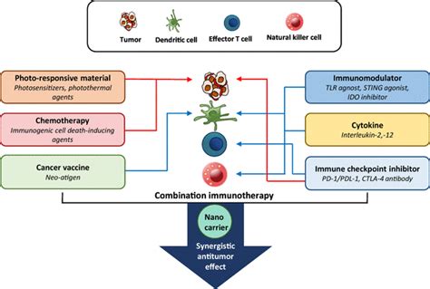 Nano Delivery Systems And Cancer Immunotherapy Springerlink