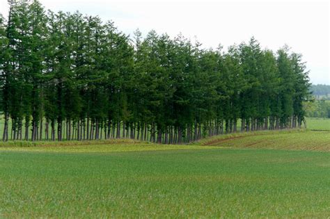 Usda Nass To Conduct First Ever Agroforestry Survey Cropwatch