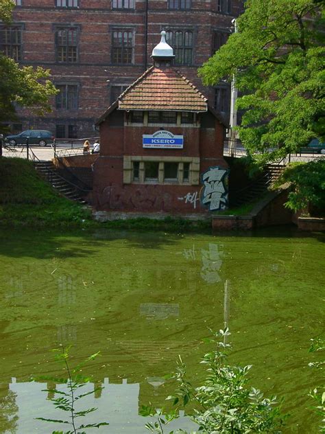 Pizzeria Domek nad fosą ul Podwale Wrocław zdjęcia