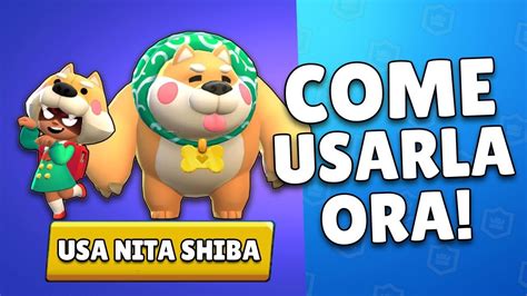 Come Usare Nita Shiba Adesso Partita Mai Vista Brawl Stars Youtube