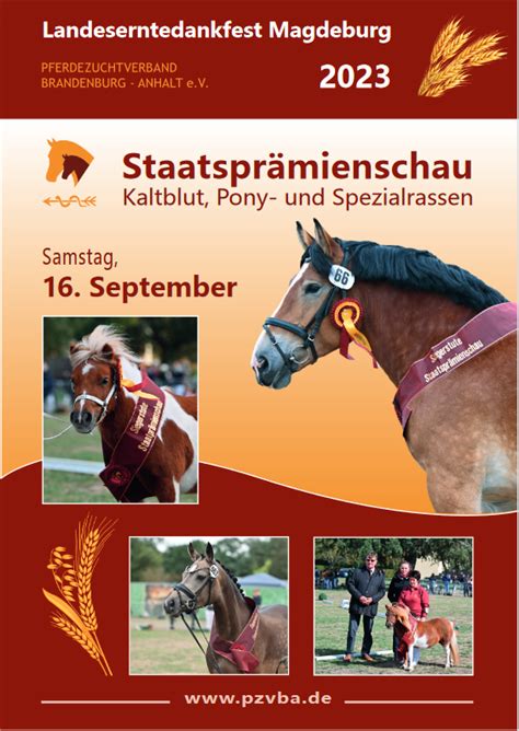 Staatspr Mienschau Kaltblut Pony Und Spezialrassen