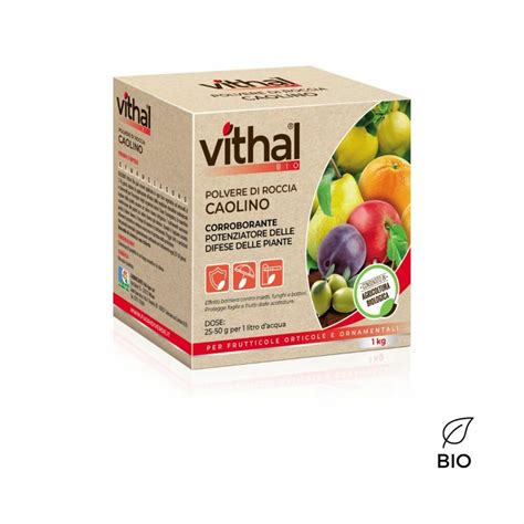 Caolino Bio Vithal Potenziatore Delle Difese Naturali Kg