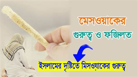 মেসওয়াকের গুরুত্ব ফজিলত ও সুন্নাহ । ইসলামের দৃষ্টিতে মিসওয়াকের