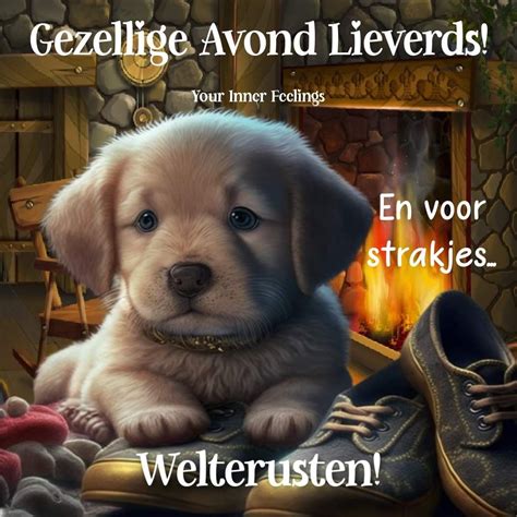 Pin Van Nettie T Hal Op Vriendjes Avond Goedemorgen Grappig