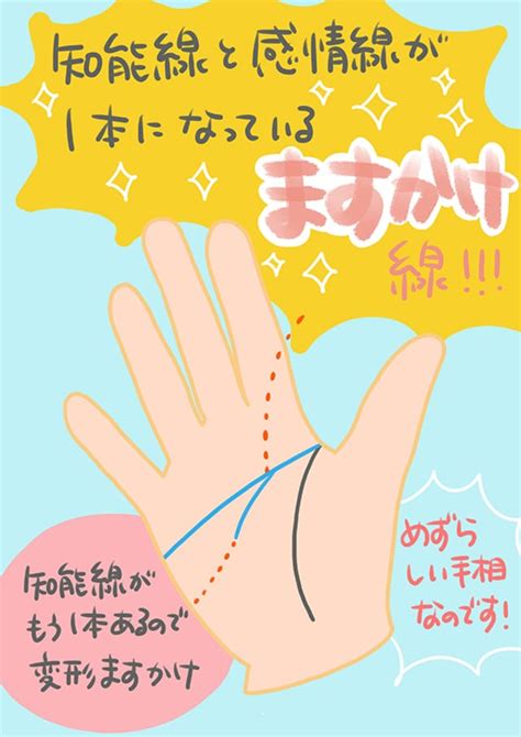 【手相占い】ますかけ線の人の金運アップのコツとは？ 卯野たまごの空気を読まず手相を読む Mi Mollet（ミモレ） 明日の私へ