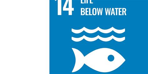 Sdg Life Below Water Cbs