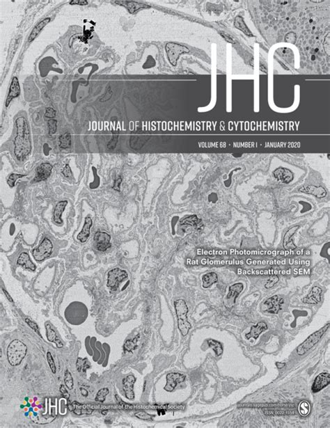 Buy Journal of Histochemistry & Cytochemistry Subscription - SAGE Publications