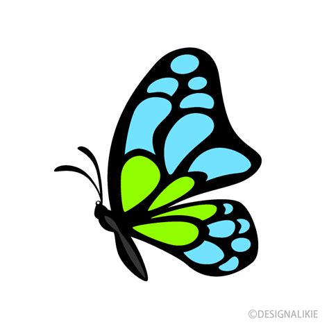 Butterfly Clipart, Butterfly PNG, Digital Download, 42% OFF