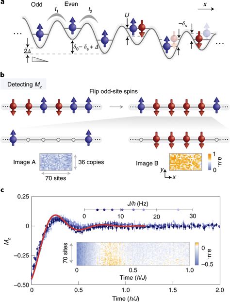 Spin Relaxation Dynamics Of The Many Body Heisenberg Model A In A