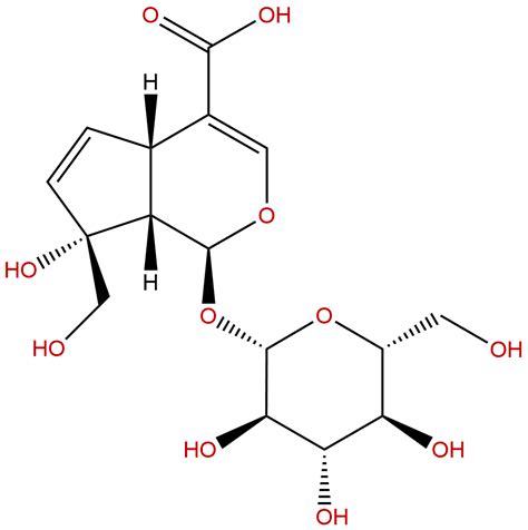 巴戟天 您值得信赖的中药成分及标准合作伙伴