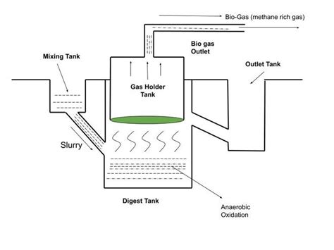 Biomass Geeksforgeeks