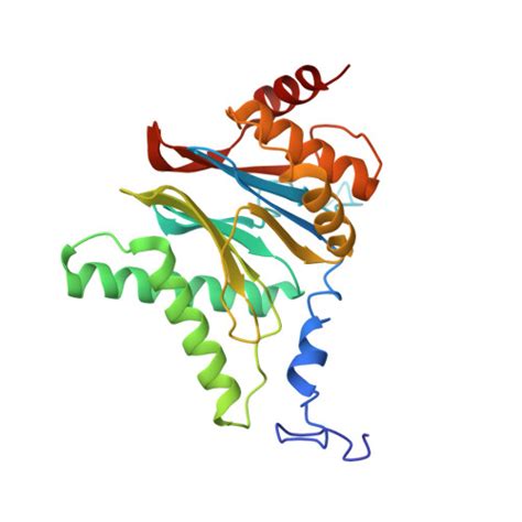 RCSB PDB 5VFP Nucleotide Driven Triple State Remodeling Of The AAA