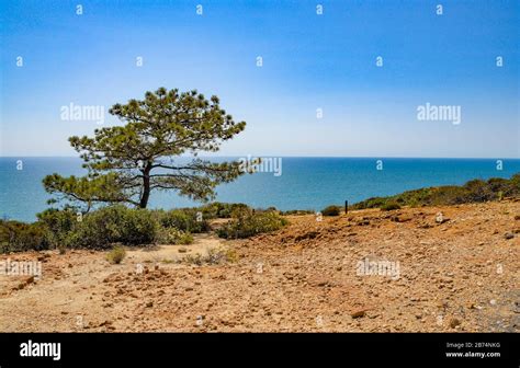 California Torrey Pines Ocean Views Stock Photo - Alamy