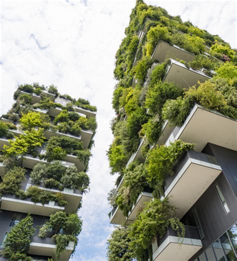 Smart Forest Cities A Step Towards Reversing Climate Change Wytec Inc