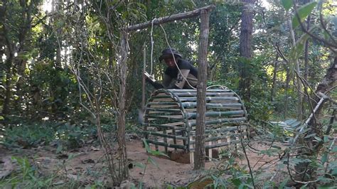 Easy Build Underground Wild Boar Trap Using Traditional Bamboo Cage