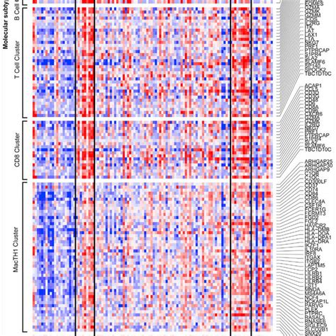 Luminal And Basal Molecular Subtypes In Conventional Uc And Sarc A Download Scientific