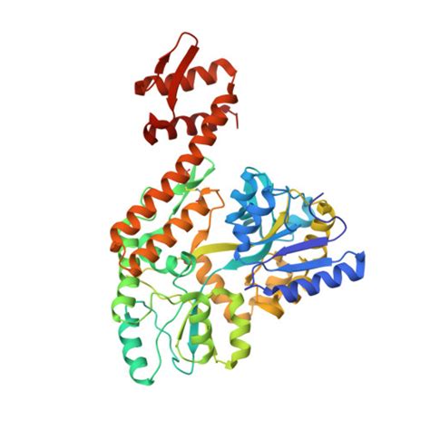 RCSB PDB 8TLX Crystal Structure Of MBP And AF9 AHD Fusion Protein