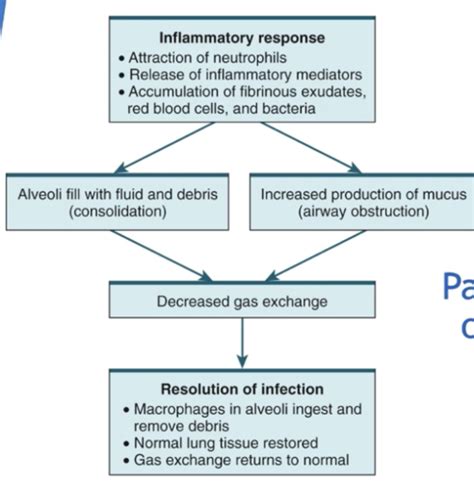 Acute Care Acute Respiratory Disorders Flashcards Quizlet