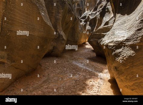 Willis Creek Slot Canyon 30 Stock Photo Alamy
