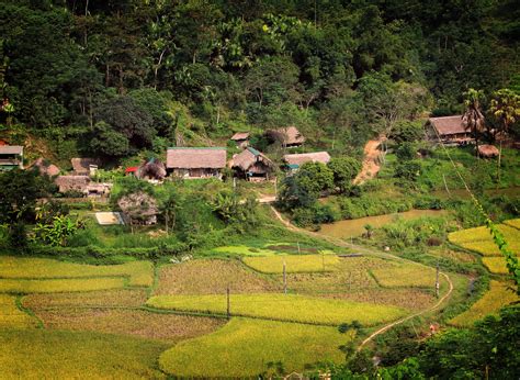 Free Images Lang Que Terrace Vegetation Green Natural Landscape