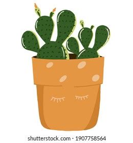 Cactus Plants On White Background Illustration Stock Vector Royalty