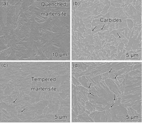 Morphologies Of A Quenching Martensite In Specimen Quenched At 950 °c