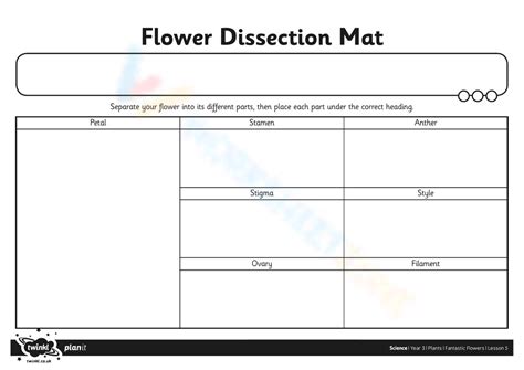 Flower Dissection Mat Worksheet