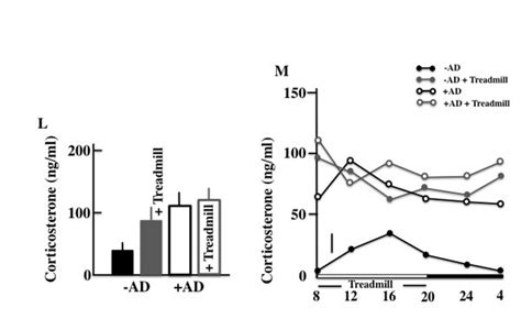 An Analysis Of The Plasma Acth A β Endorphin B α Msh C Tgf β