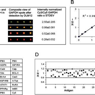 Validation of protein microarray experimental protocol. (A) Comparison ...