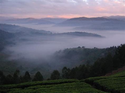 Rwanda Tourism: Best of Rwanda - TripAdvisor