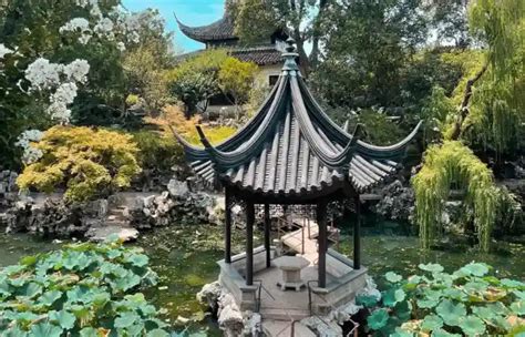 Lion Grove Garden: An Oasis of Beauty and Serenity in Suzhou