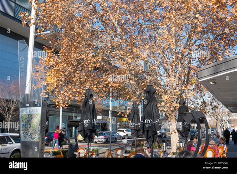City Centre Of Canberra Australias Capital City On A Sunny Winters