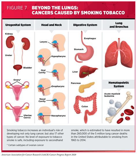 Smoking Causes Cancer