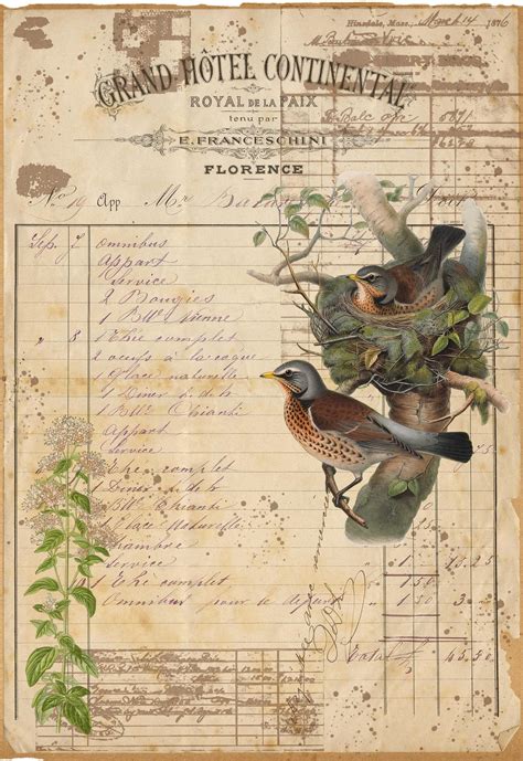 Vintage Garden Birds Junk Journal Kit Ephemera Digital Scrapbook Kit