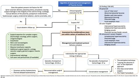 Placenta Previa Pathophysiology