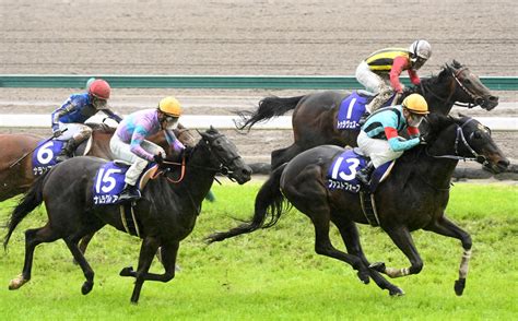 【高松宮記念】ナムラクレア追い込み届かず2着、浜中騎手「すごく悔しい。次の舞台で結果を」 競馬写真ニュース 日刊スポーツ