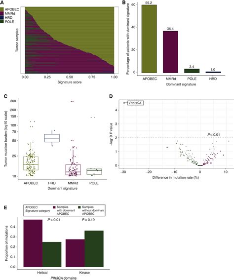 Prevalence And Mutational Determinants Of High Tumor Mutation Burden In