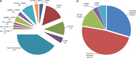 Prevalence Of Rare Egfr Gene Mutations In Nonsmall Cell Lung Cancer A