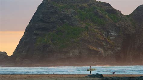 Piha Beach in Auckland, | Expedia