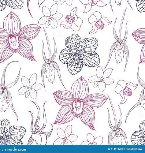 Hand Drawn Orchids Vector Seamless Pattern Stock Vector Illustration