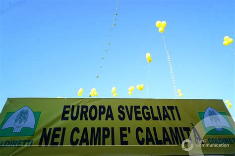 Fieragricola Al Via Con La Protesta Degli Agricoltori Contro Gli