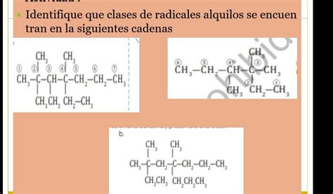 Identifique Que Clases De Radicales Alquilos Se Encuen Tran En La