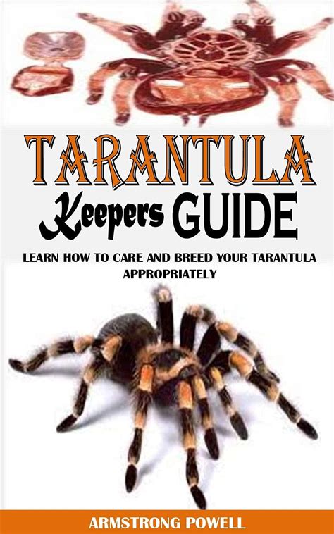 Tarantula Keepers Guide Learn How To Care And Breed Your Tarantula