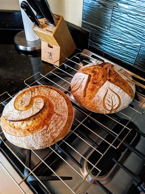 Rosemaryregular Sourdough Boules For Friends Dining And Cooking