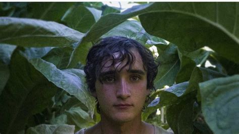 Lazzaro Felice La Storia Vera Che Ha Ispirato Il Film Cultweb It