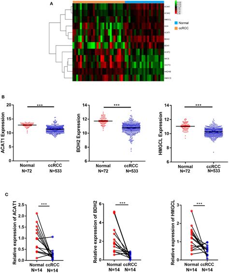 Mrna Expression Of Acat Bdh And Hmgcl Is Downregulated In Ccrcc In